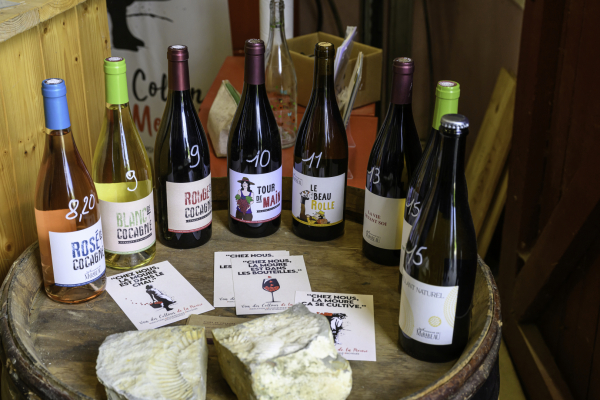 produits viticoles Vins de Cocagne