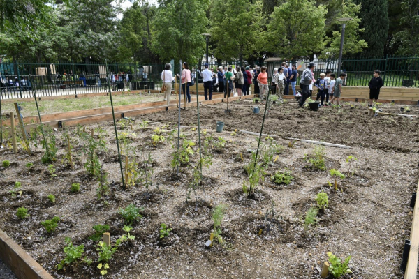 Jardin partagé