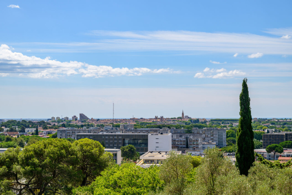 Vue de Montpellier