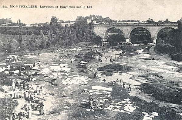 Le spectacle du linge séchant des lavandières en bord de Lez