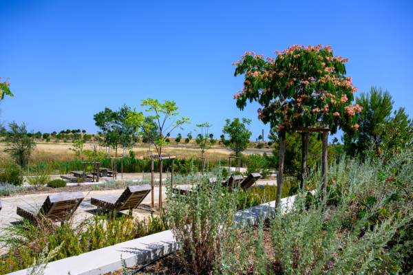 parc arbres