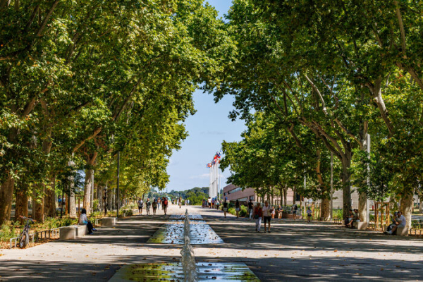 arbres jets d'eau de l'Esplanade perspective ombragée jusqu'au Corum