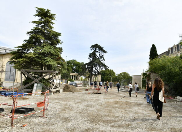 chantier barrières arbres individus monument aux morts