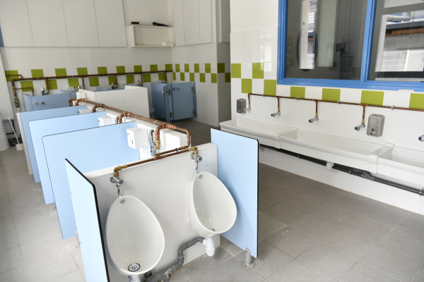 sanitaires et WC rénovés cuvettes carrelage lavabo 