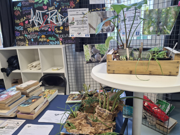 Stands oiseaux et plantes