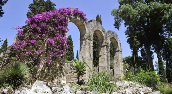 Vue du jardin des plantes