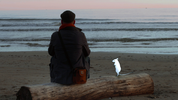 Sur la plage de Carnon, extrait du documentaire