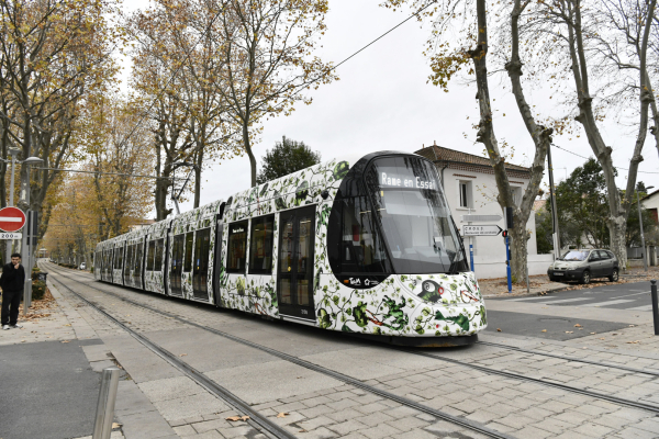 Avenue du Pr Grasset, la ligne 5, comme la ligne 1, dessert la Cité des arts