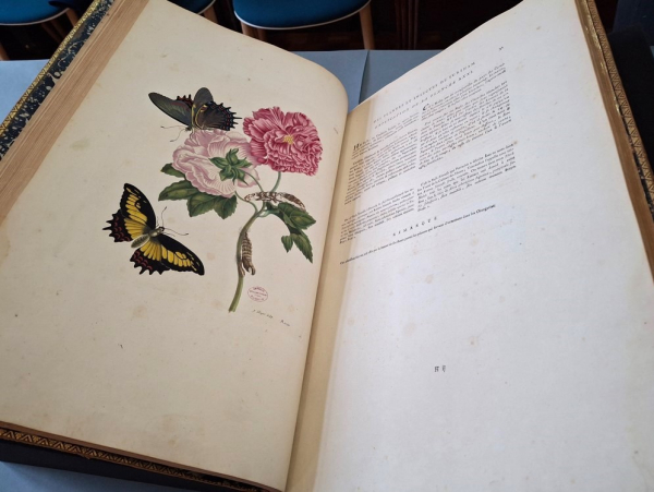 ouvrage collection université