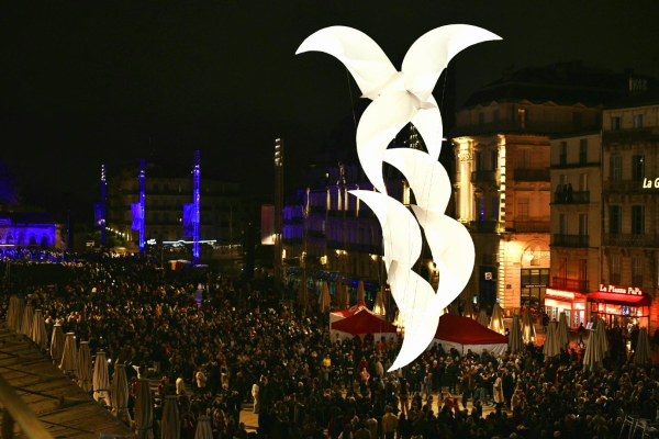 Les grandes hirondelles prennent leur envol avant le défilé des cinq lignes de tramway comme autant d'oeuvres d'art qui décorent la ville