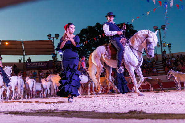La Capelado à Pérols, 1er prix du Trophée taurin 3M 2025, un vrai spectacle en ouverture de la course camarguaise