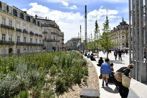 banc végétalisé de la place de la Comédie individus assis bâtiments ciel 