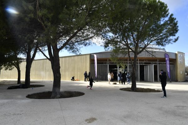 arbre nouveau parvis et nouvelle entrée du centre aquatique Neptune