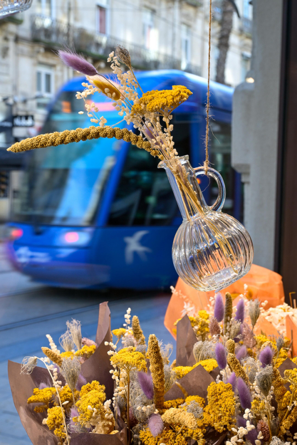 Entre la gare Saint-Roch et la place de la Comédie, piétons et usagers du tramway découvrent un nouveau commerce rue Maguelone