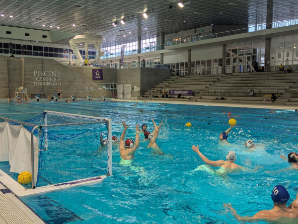 Les Montpelliérains s'entraînent deux fois par jour à la piscine olympique Angelotti
