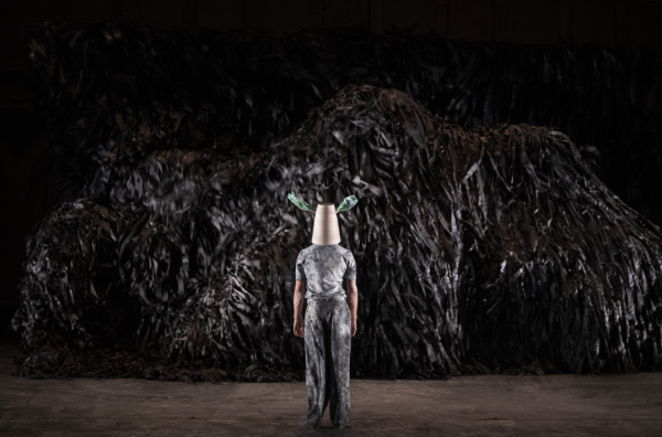 Festival de cirque Lunes