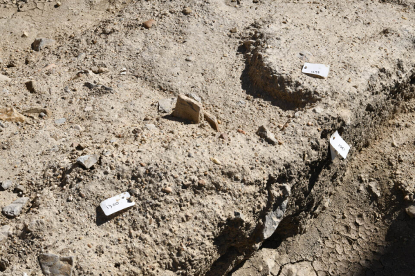 terre, étiquettes, pierre 