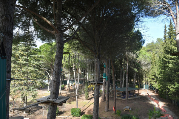 accrobranche