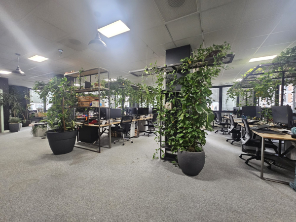 espace de bureau végétalisé 