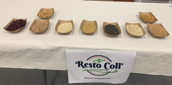 Atelier légumineuse