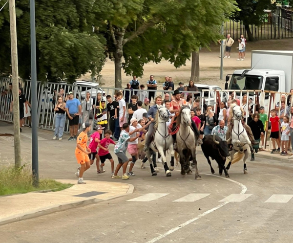 Chevaux et toro encadrés par les gardians