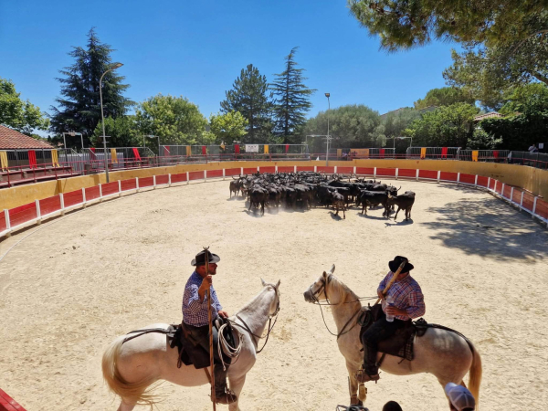 Cavaliers dans les arènes de St Georges d'Orques
