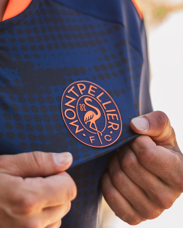 Le flamand rose au coeur du nouveau logo du club
