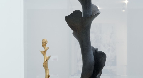 Photo de la sculpture La Spirale de Germaine Richier au Musée Fabre