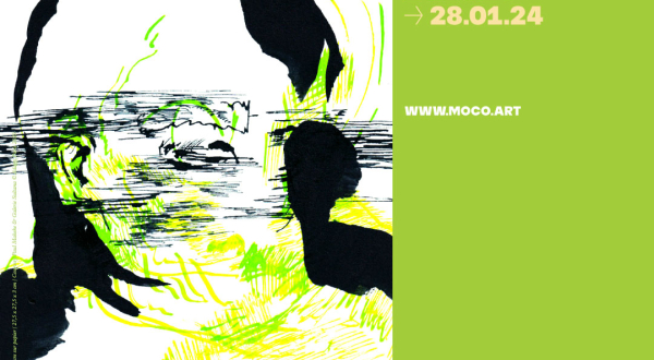 Affiche expo SOl au MOCO Panacée