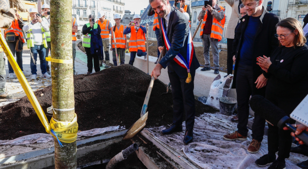 Le maire de Montpellier plante le premier orme. 