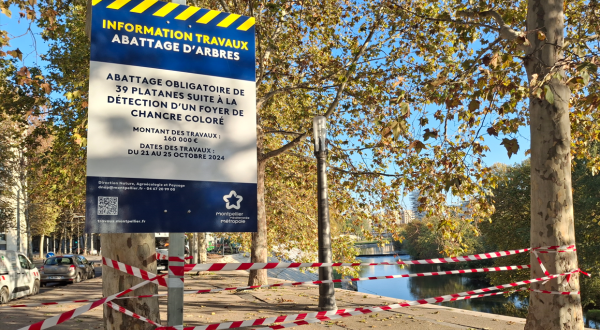 Panneau en bordure de Lez pour l'abattage des arbres