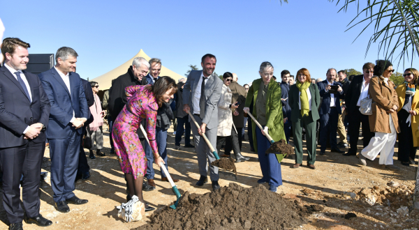Plantation d'un palmier pour le lancement du chantier 