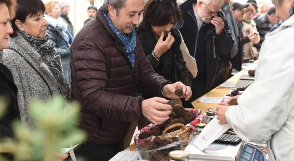 marché de la truffe
