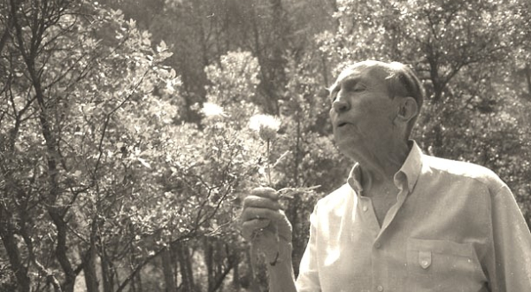 Portrait de Max Rouquette