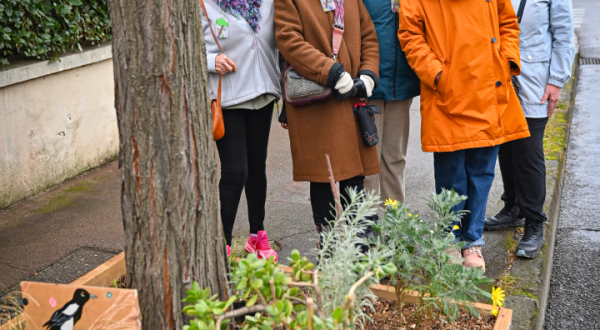membres de l'association arbre plante fleur panneau