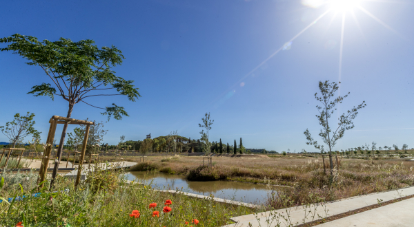 Vue du parc à Cambacérès