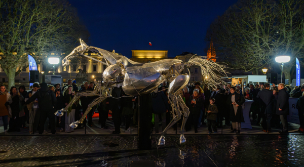 Le cheval Zeus de nuit