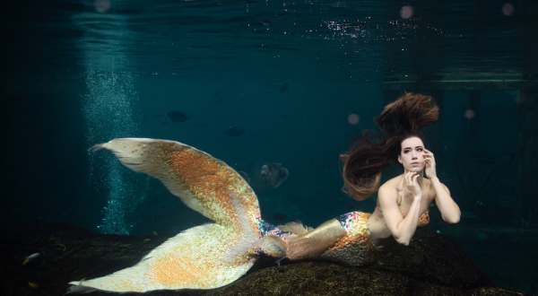 la sirène
