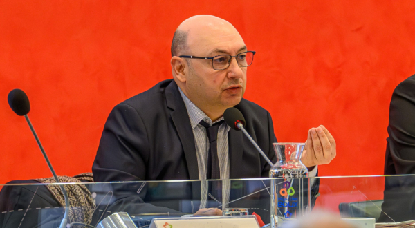 le vice-président 
