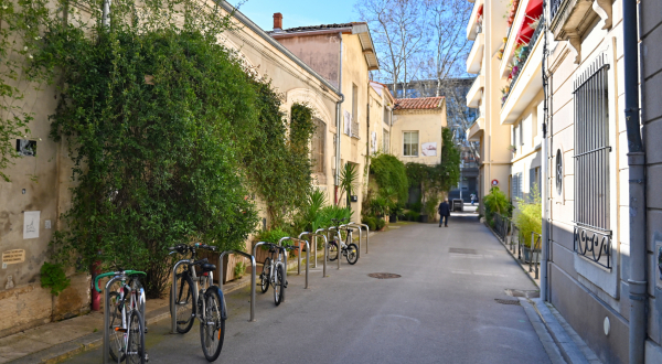 façades plantes grimpantes plantes vélos 
