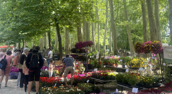 le parc du château