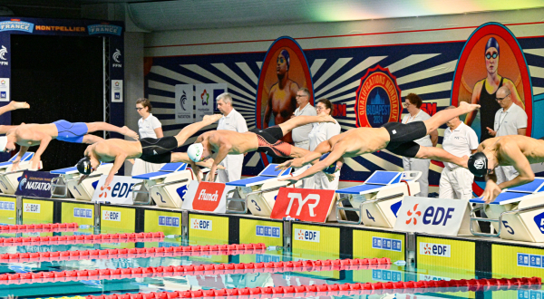 nageurs plongeoirs piscine juges affiches 