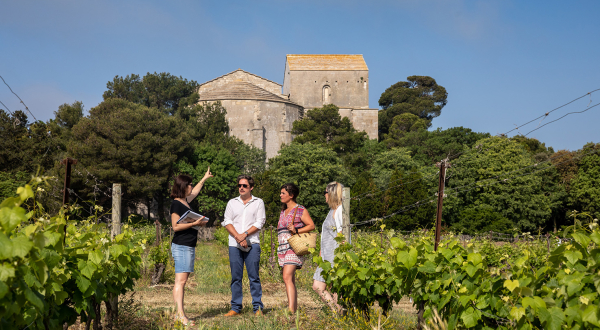 Balade oenotouristique dans les vignes des Compagnons de Maguelone