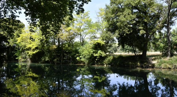 Berges du Lez