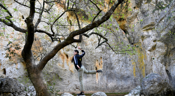 l'artiste dans la nature