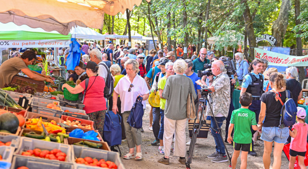 marché du festival de la tomate