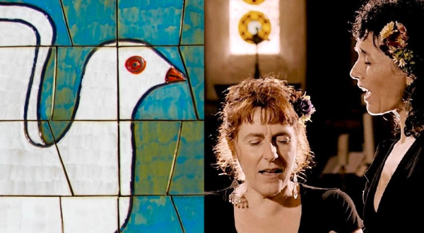 Montage images festival Anima