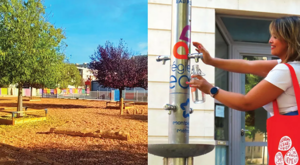 Programme Adaptoneau