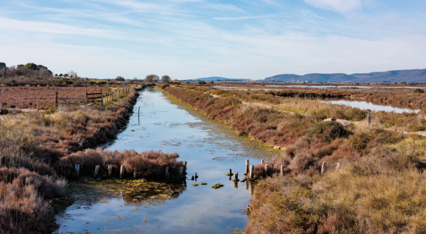 Salines de Villeneuve-lès-Maguelone