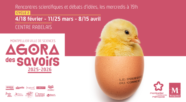 Visuel Agora des Savoirs 2025/2026 - Un poussin sortant de l'oeuf